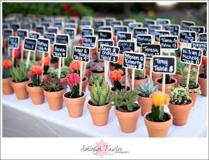 Cactus personalizados para los invitados. Vía Pinterest.