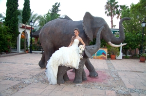 novia elefante